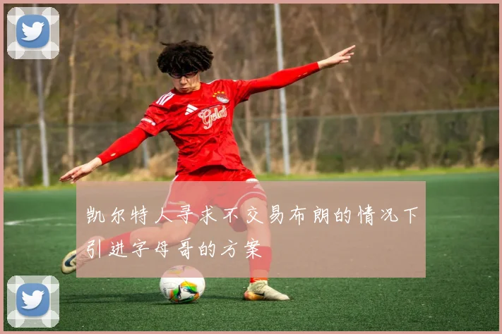 凯尔特人寻求不交易布朗的情况下引进字母哥的方案