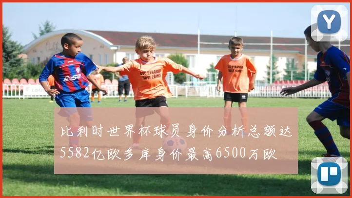 比利时世界杯球员身价分析总额达5582亿欧多库身价最高6500万欧