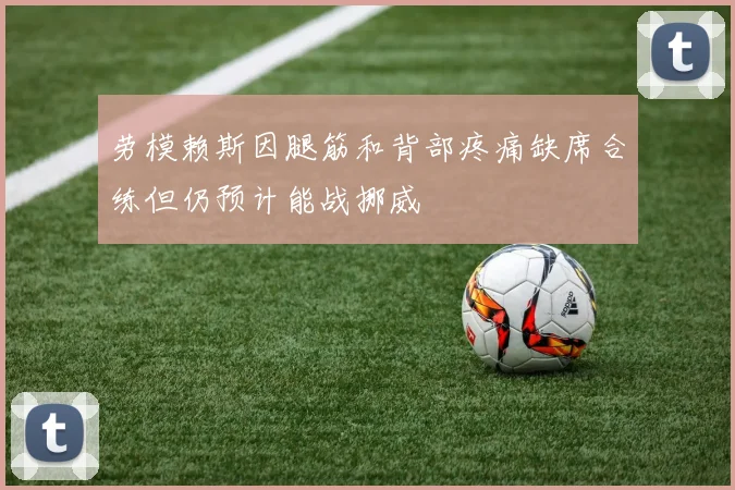 劳模赖斯因腿筋和背部疼痛缺席合练但仍预计能战挪威
