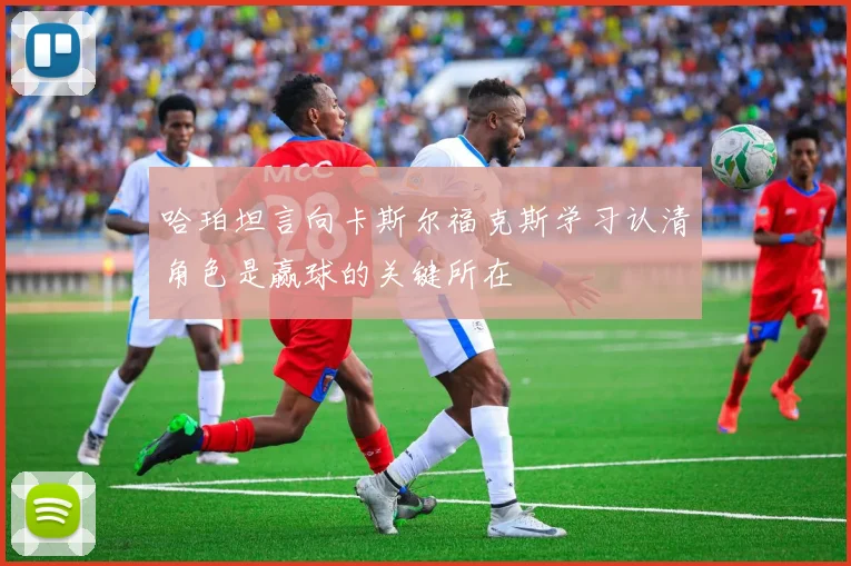 哈珀坦言向卡斯尔福克斯学习认清角色是赢球的关键所在